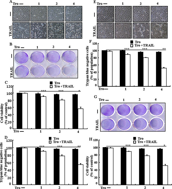 Troglitazone sensitizes TRAIL-mediated apoptosis in human lung adenocarcinoma cells.