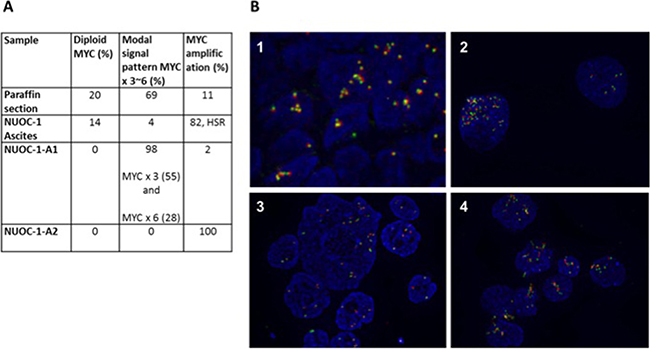 FISH for MYC results for NUOC-1.