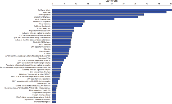 41 Rectome pathways significantly associated with the 103 genes upregulated in various cancers.
