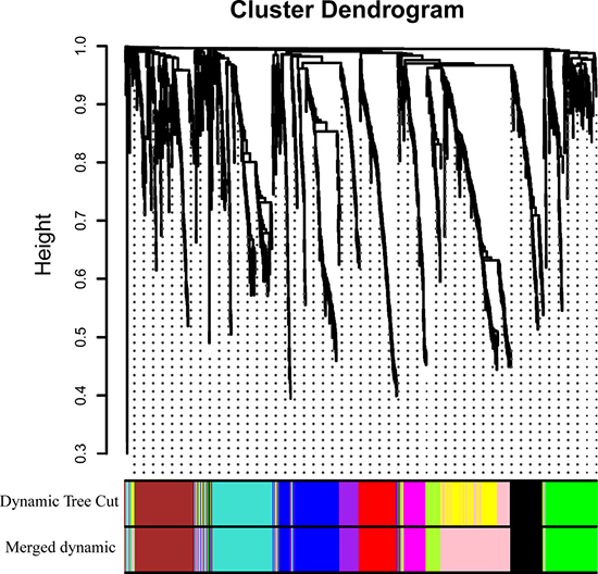 Clustering dendrograms of genes.