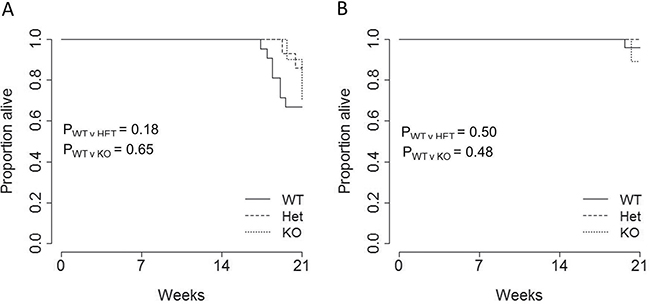 No effect of miR-29a on survival in a pancreatic cancer model.