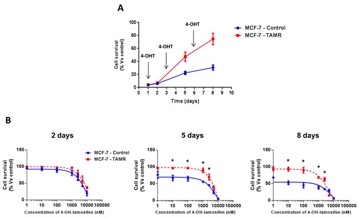 Validation of tamoxifen-resistance in TAMR cells.