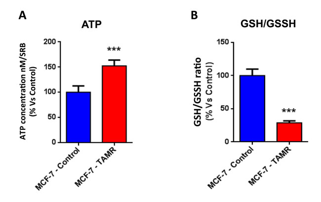 The metabolic phenotype of TAMR cells is characterized by increased steady-state levels of ATP and decreased levels of reduced glutathione.