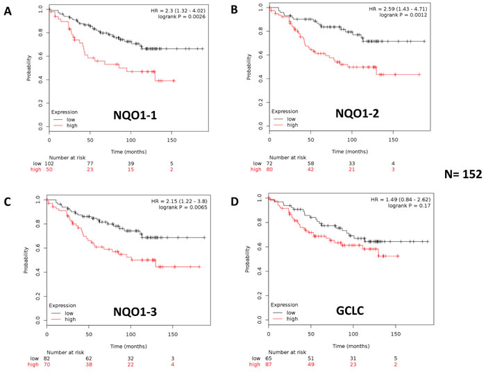 Kaplan-Meier (K-M) analysis of the prognostic value of NQO1 and GCLC in ER(+) breast cancer patients receiving endocrine therapy: Luminal A subgroup.