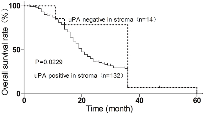 Stroma uPA expression correlates with poor ESCC prognosis, determined by Kaplan&#x2013;Meier analysis.