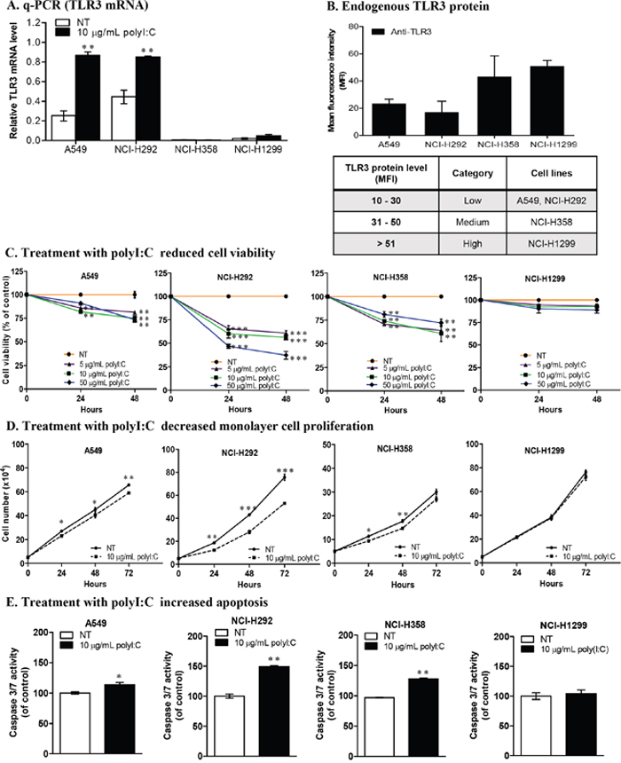 Lung cancer cells exhibit differential TLR3 expression and susceptibility to polyI:C.