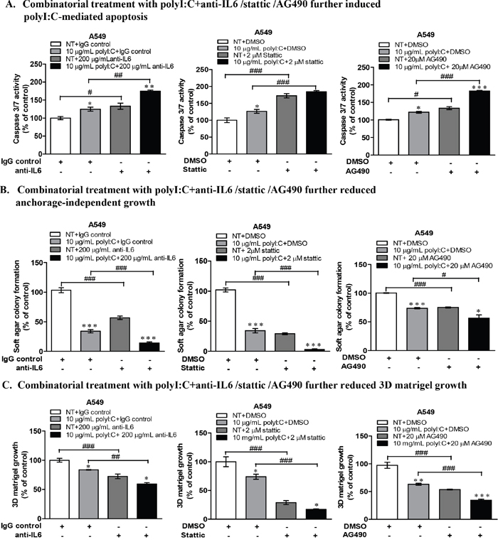 Combinatorial treatment of A549 cells with polyI:C+anti-IL6 or polyI:C+inhibitors (Stattic /AG490) enhanced polyI:C-killing and further reduced oncogenicity.