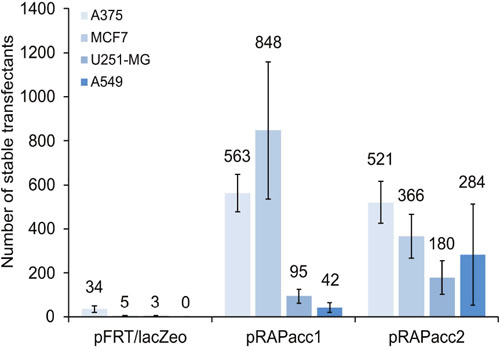 Vector performance in generating FRT-site modified acceptor cell lines.