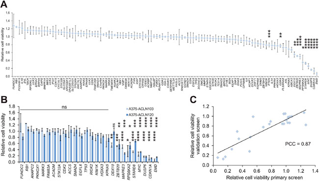 Screen of a melanoma isogenic single recombinant cell library.