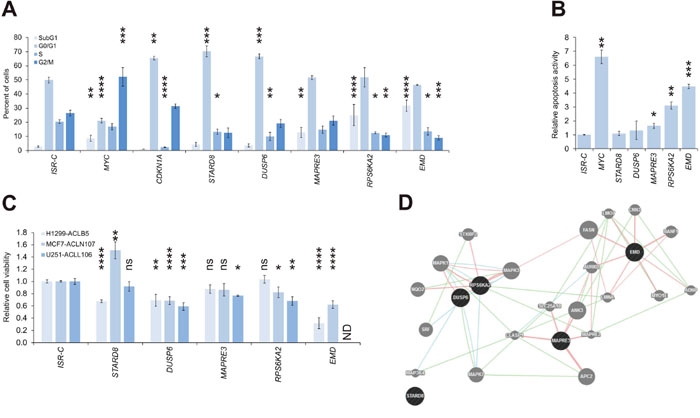 Identification of a tumor suppressive network.