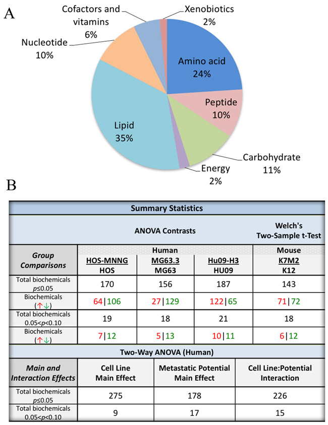 Global metabolomic profiling of 4 pairs of clonally related OS cell lines with high and low metastatic potential.