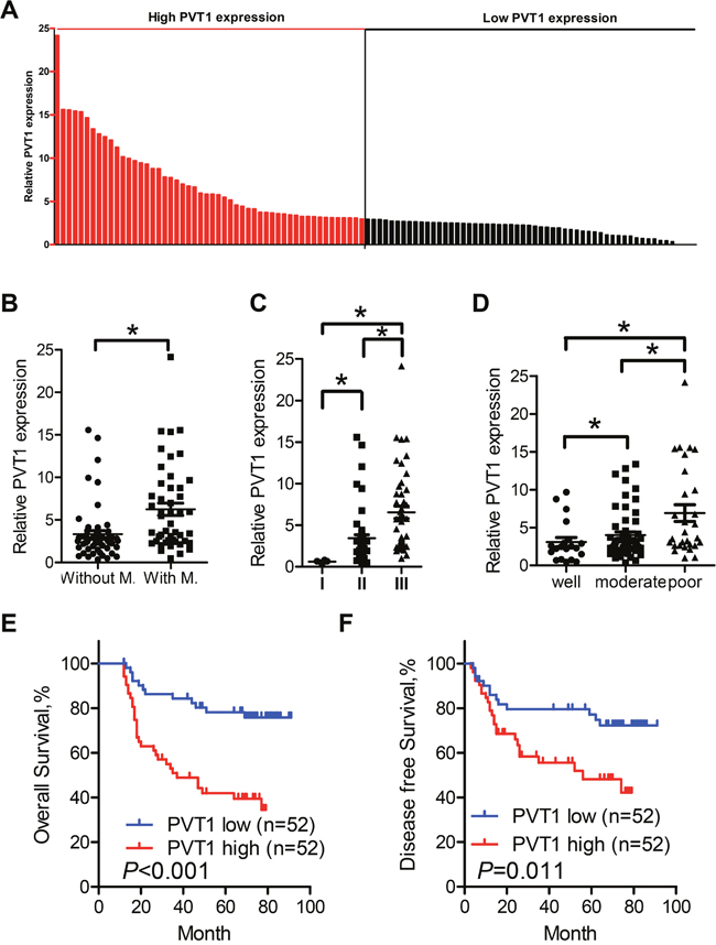 Relative PVT1 expression in cell lines and tissues assessed by qPCR and its clinical significance.