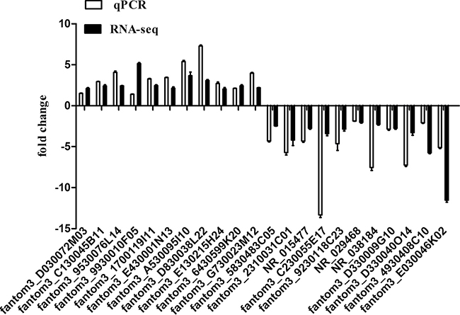 Comparison between sequencing data and the qRT-PCR result for lncRNAs.