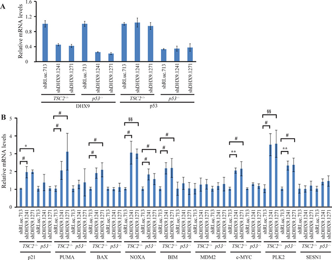 Consequences of DHX9 knockdown on p53 targets in TSC2+/&#x2212;E&#x03BC;-Myc (p53+/+) and p53&#x2212;/&#x2212; E&#x03BC;-Myc lymphoma cells.