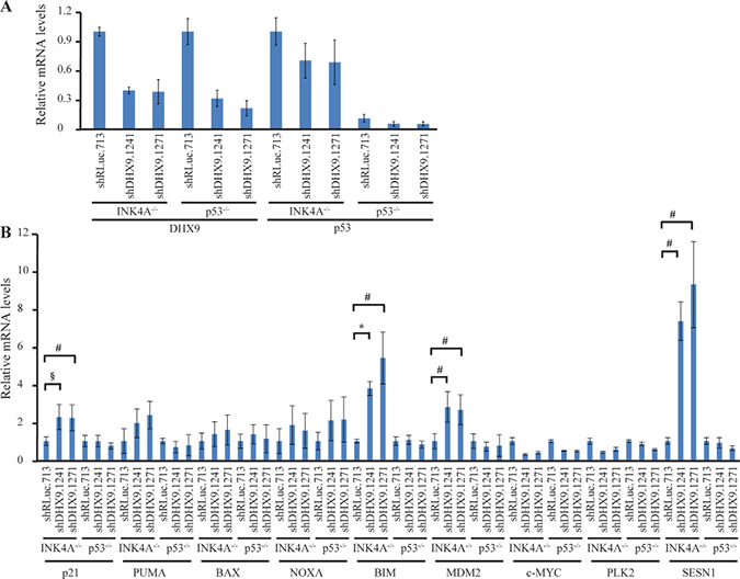 Consequences of DHX9 knockdown on p53 targets in INK4A&#x2212;/&#x2212; (p53+/+) and p53&#x2212;/&#x2212; MEFs.