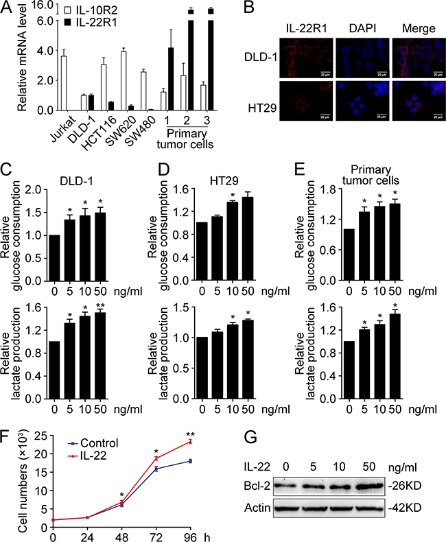 IL-22 promoted aerobic glycolysis associated with cellular proliferation in colon cancer cells.