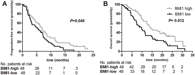 Kaplan-Meier curves for (A) progression-free survival and (B) overall survival after first-line platinum-based chemotherapy according to BMI1 mRNA expression level in peripheral whole blood of patients with advanced non-small cell lung cancer (NSCLC).