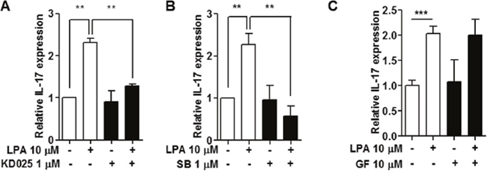 Inhibition of ROCK2 and p38 MAPK suppressed LPA-induced IL-17 expression.