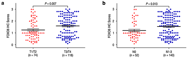 Comparsion of FOXO6 expression by depth of invasion and lymph node metastasis.