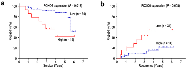 FOXO6 overexpression indicates poor prognosis in TNM stage I gastric cancer patients.