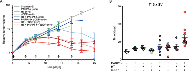 In vivo experiments performed on rats.