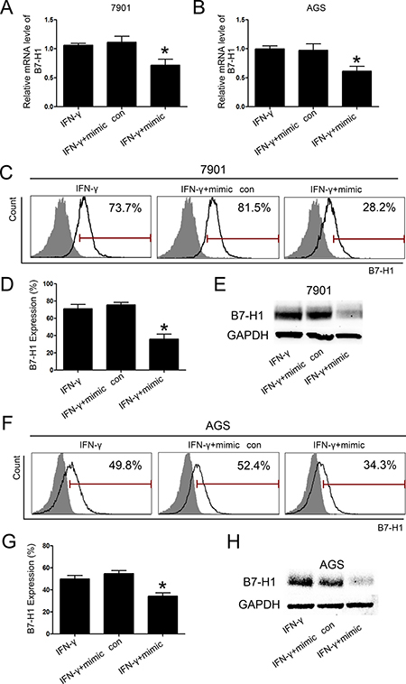 MiR-152 inhibited expression of B7-H1 in gastric cancer cell lines.
