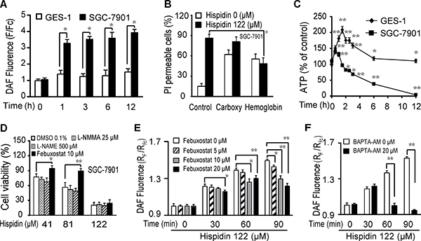 Hispidin induces LMP-related nitric oxide (NO) production, contributing to SGC-7901 cancer cell death.