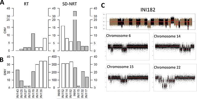 Genomic features of late-onset SD-NRT.