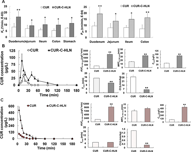 In situ absorptive and in vivo kinetic characteristics of CUR-C-HLN.