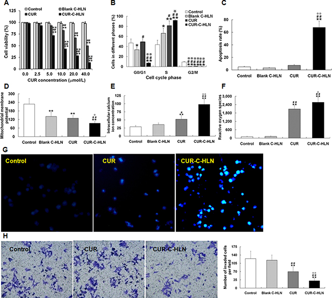 Effects of CUR-C-HLN on Lewis lung cancer cells.