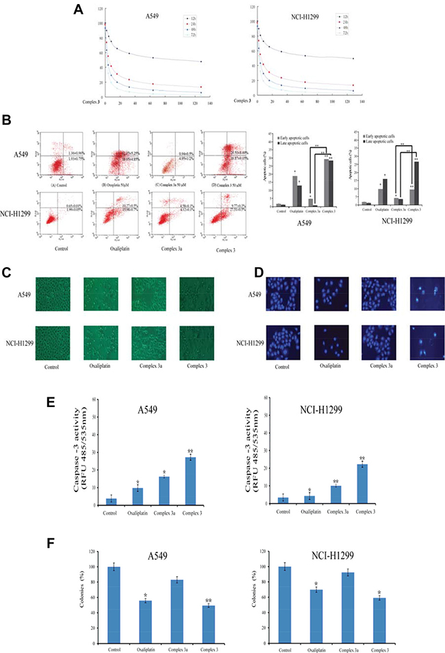 Cellular responses of oxaliplatin, complex 3 and complex 3a in A549 and NCI-H1299 cancer cells.