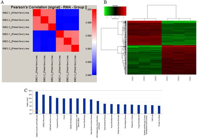 Gene chip analysis of UBE2T regulation.