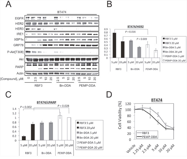 Increasing the number of pharmacophores per DDA molecule improves potency against BT474 cells.