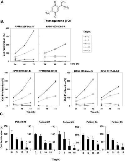 Fig 1: TQ suppresses the proliferation of MM cell lines.