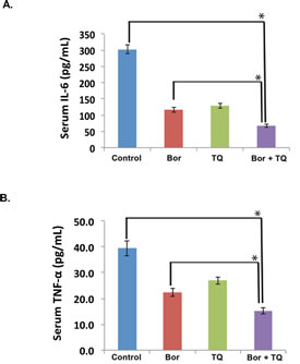 Fig 8: TQ modulates serum levels of IL-6 and TNF-&#x3b1; in MM tumor bearing mice.