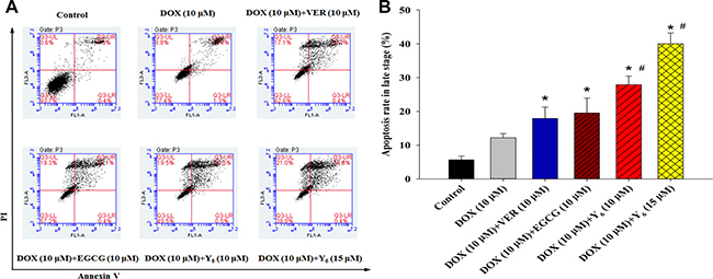 Apoptosis was measured in BEL-7404/DOX cell line.