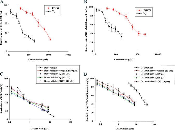 The Reversal effect of Y6, EGCG, and verapamil in parental and resistant cells.