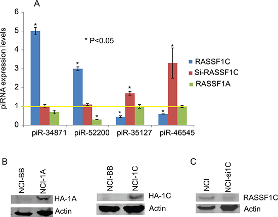 RT-PCR analysis of select piRNAs.