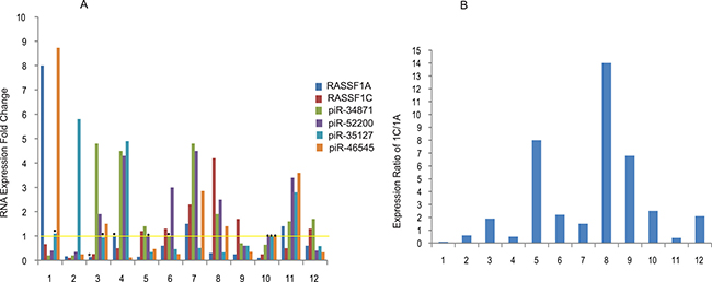 Expression profiling of selected piRNAs in lung tumors.