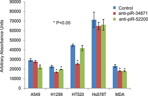 Down-regulation of piR-34871 and piR-52200 in lung and breast cancer cells.