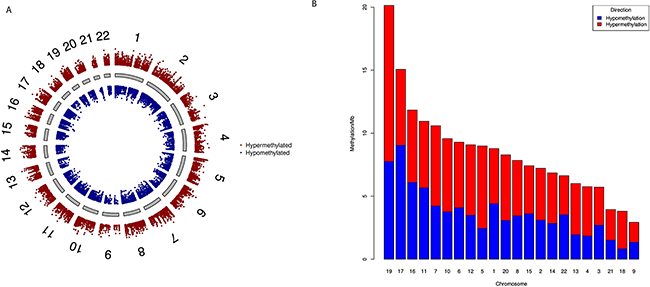 Genome-wide differential DNA methylation patterns in pancreatic cancer.