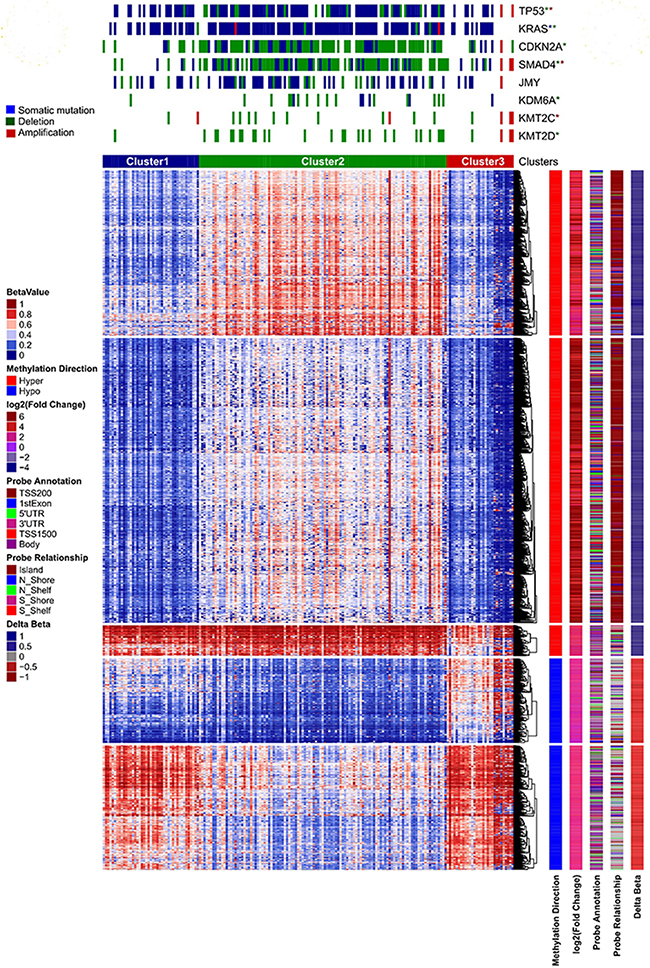 Unsupervised clustering of PC patient data on the basis of differentially methylated CpG sites.