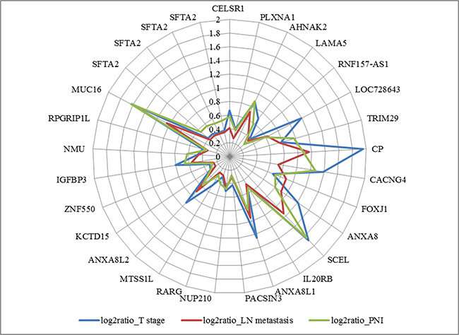 Diagram of positive coefficient of 29 genes with cancer to normal bile duct log2ratio >0, adjusted p-value <0.05.