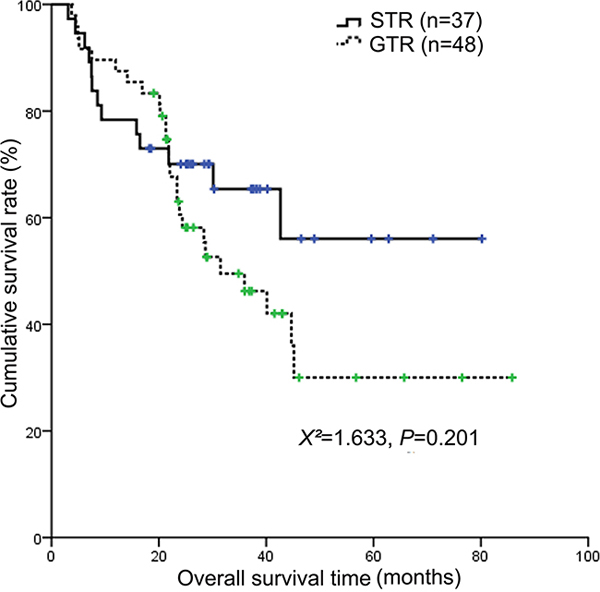 Kaplan-Meier survival curves showing overall survival according to surgery extent.