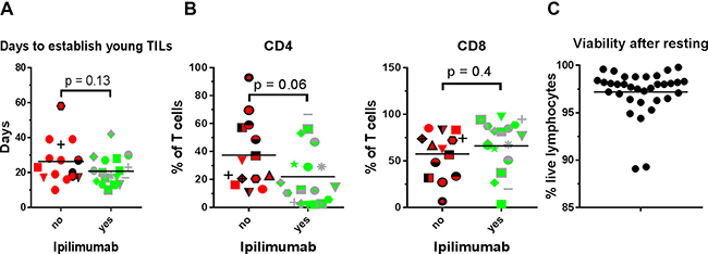 Young TIL generation, CD4/CD8 phenotype and cell viability.