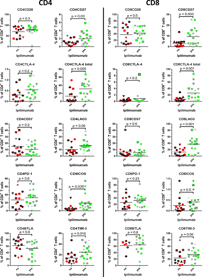 Phenotype- and exhaustion markers.