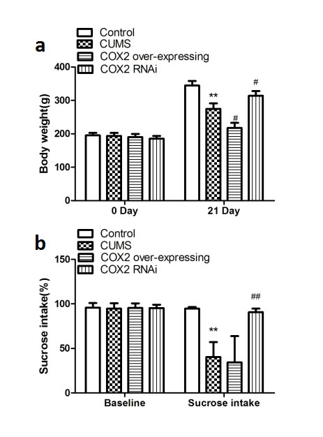 Effects of COX2 over-expression or RNAi on the changes of depressive-like behaviors in CUMS-treated rats.