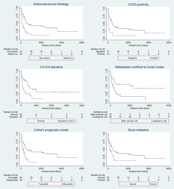 Kaplan-Meier survival estimates of CUP patients according to the clinicopathologic factors.