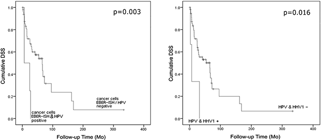 Cumulative disease-specific survival as stratified by either (a) EBER mRNA expression in cancer cells and HPV coinfection (positive/all cases n=4/54, p=0.003) or (b) HPV/HSV-1 coinfection (positive/all cases n=3/60, p=0.016).