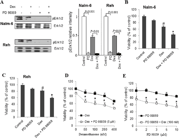 Pharmacological inhibition of ERK1/2 potentiates dexamethasone sensitivity in ALL cells.